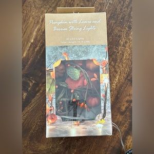 LED String Lights Pumpkin with Leaves & Berries 30 LED lights Fall Autumn